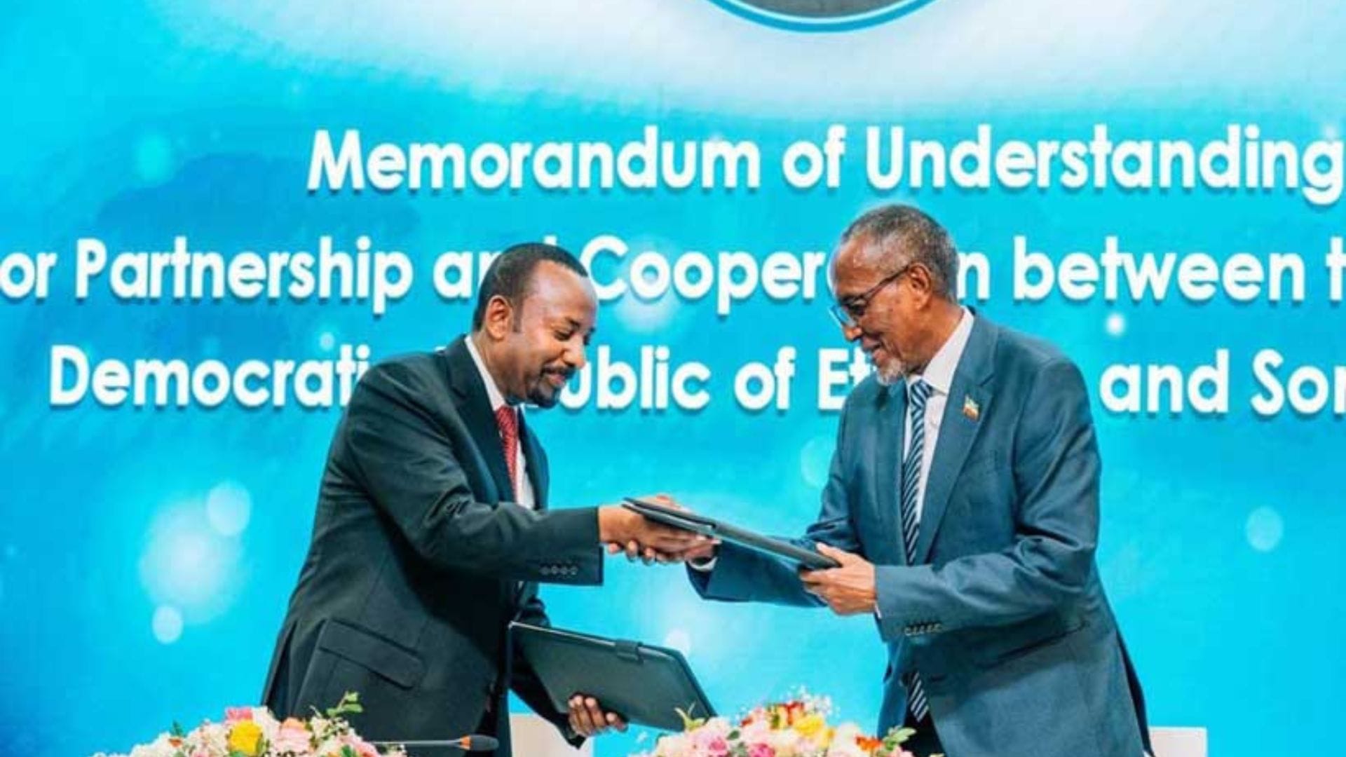 The Geopolitics of Ports: Re-evaluating Economic Interdependence in the Horn of Africa